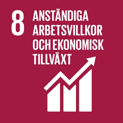 Anständiga-arbetsvillkor-och-ekonomsik-tillväxt